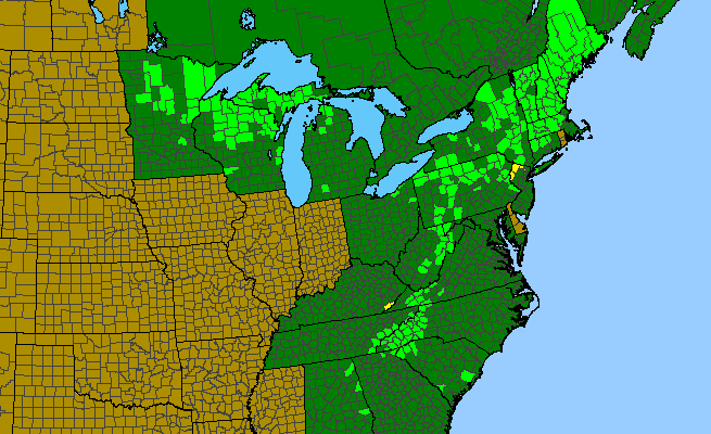 The range of Rubus canadensis